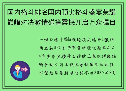 国内格斗排名国内顶尖格斗盛宴荣耀巅峰对决激情碰撞震撼开启万众瞩目